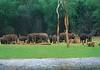 special package for thekkady tourism development