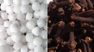 benefits of burning camphor and cloves in the house as per vastu in tamil mks benefits of burning camphor and cloves in the house as per vastu in tamil mks