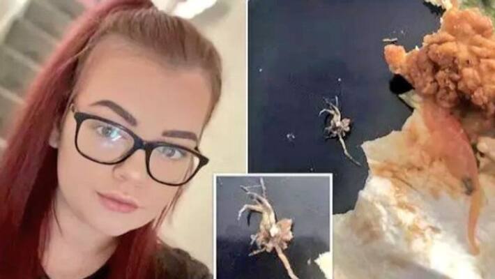 woman complaints that she got spider from online food order woman complaints that she got spider from online food order