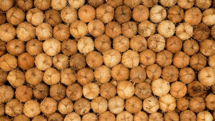 Shipment of coconuts filled with liquid cocaine Seized in Columbia