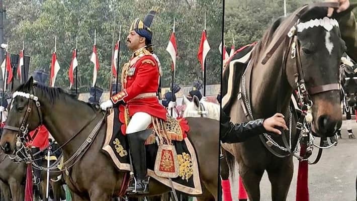 Virat to Darmi to Heena: Animals that were awarded COAS Commendation Card on January 15-dnm Virat to Darmi to Heena: Animals that were awarded COAS Commendation Card on January 15-dnm