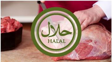 Karnataka Halal meat controversy: The latest developments-ycb Karnataka Halal meat controversy: The latest developments-ycb