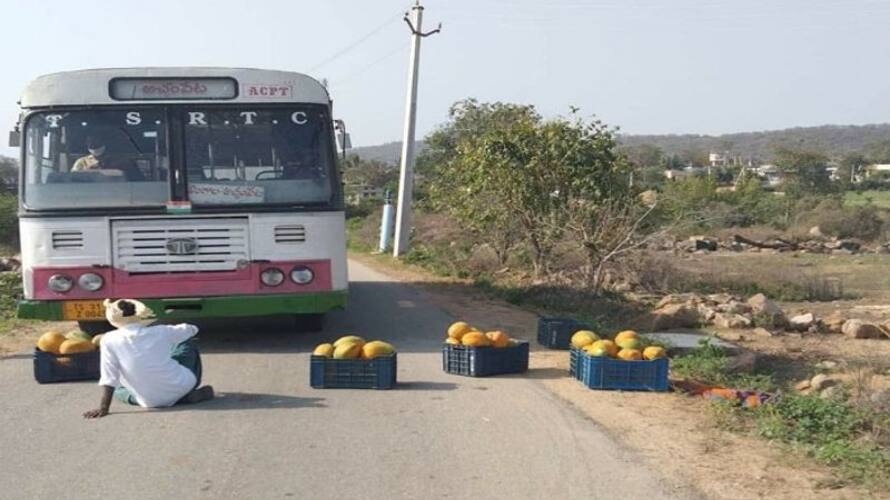 Fact check : driver boarded the bus for not giving the papayas for free, farmer protest in Nagar Kurnool, this is the truth Fact check : driver boarded the bus for not giving the papayas for free, farmer protest in Nagar Kurnool, this is the truth