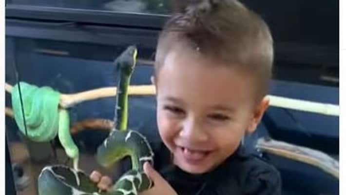 child playing with snake video viral on social media child playing with snake video viral on social media