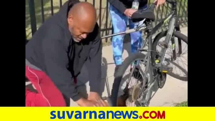 Dog collapses outside park, stranger performs CPR and saves life watch video akb Dog collapses outside park, stranger performs CPR and saves life watch video akb