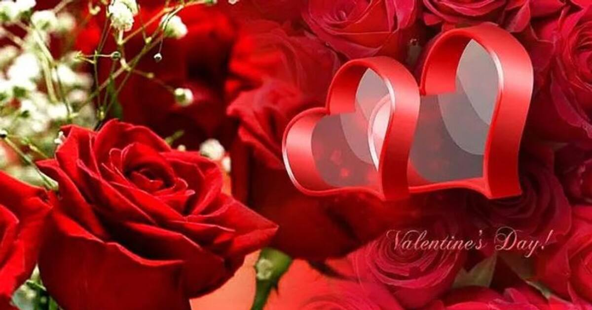 Rose Flower Meaning In Telugu Best Flower Site