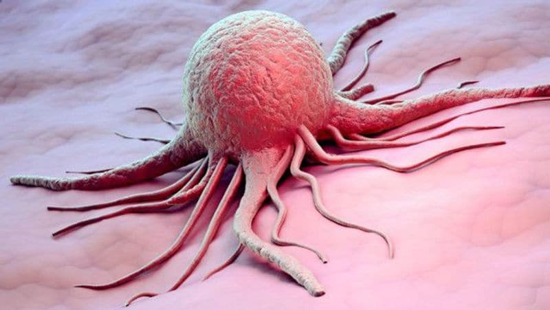 What is CAR-T Cell therapy used for Blood Cancer? Know the power of immune cells RBA