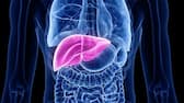 Studies show that this diet reduces the risk of liver cancer