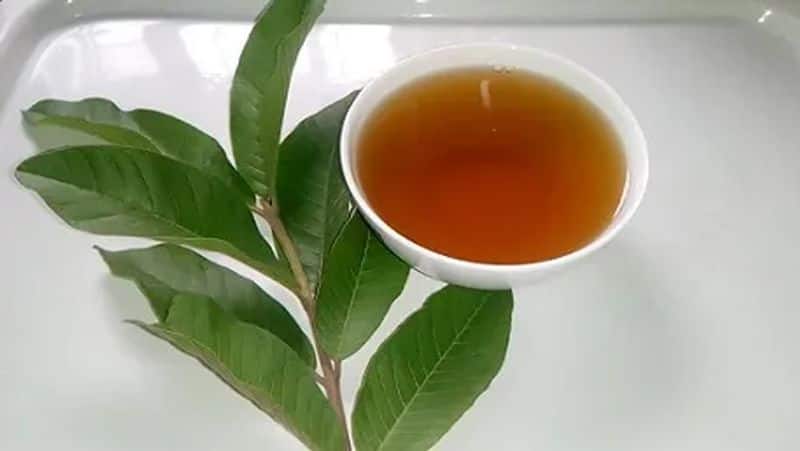 many health benefits are there for guava leaves from experts point of view
