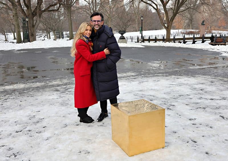 An Artist Placed a Gold Cube in Central Park