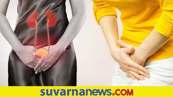 Why Are Uti More Common In Females Than Males Why Are Uti More Common In Females Than Males