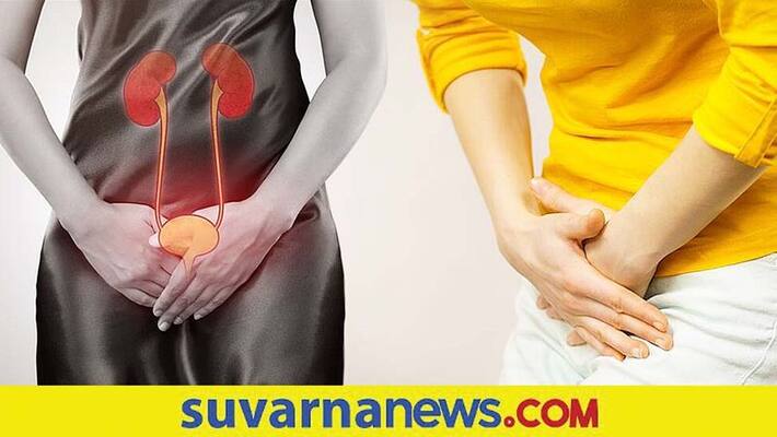 Why Are Uti More Common In Females Than Males Why Are Uti More Common In Females Than Males