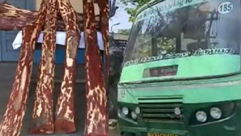 sandalwood smuggling gang in tamilnadu government bus