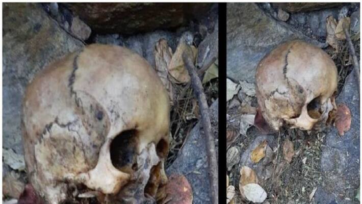 Four Human Skulls Discovered Inside US-Bound Package At Mexico Airport Four Human Skulls Discovered Inside US-Bound Package At Mexico Airport