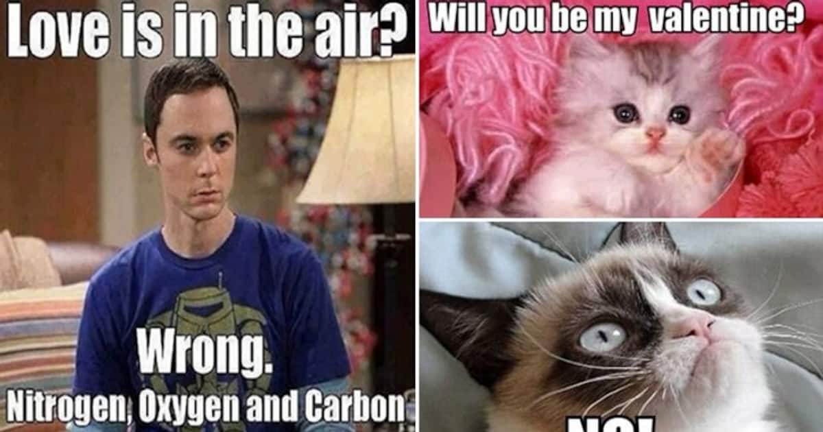 Happy Valentine's Day 2022: Here are 10 funniest memes, jokes that will have you cackling Happy Valentine's Day 2022: Here are 10 funniest memes, jokes that will have you cackling