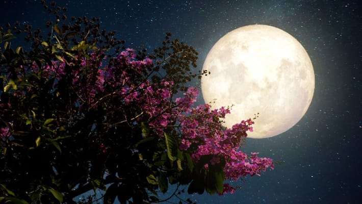 Puja Vidhi in Guru Purnima 2022 like this and know what are the benefits BDD Puja Vidhi in Guru Purnima 2022 like this and know what are the benefits BDD