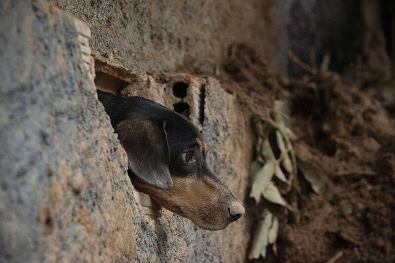 Climate change Heavy rains and landslides continue in Brazil