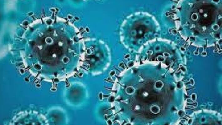 omicron subvariant ba 2 will resist another infection up to a limit omicron subvariant ba 2 will resist another infection up to a limit