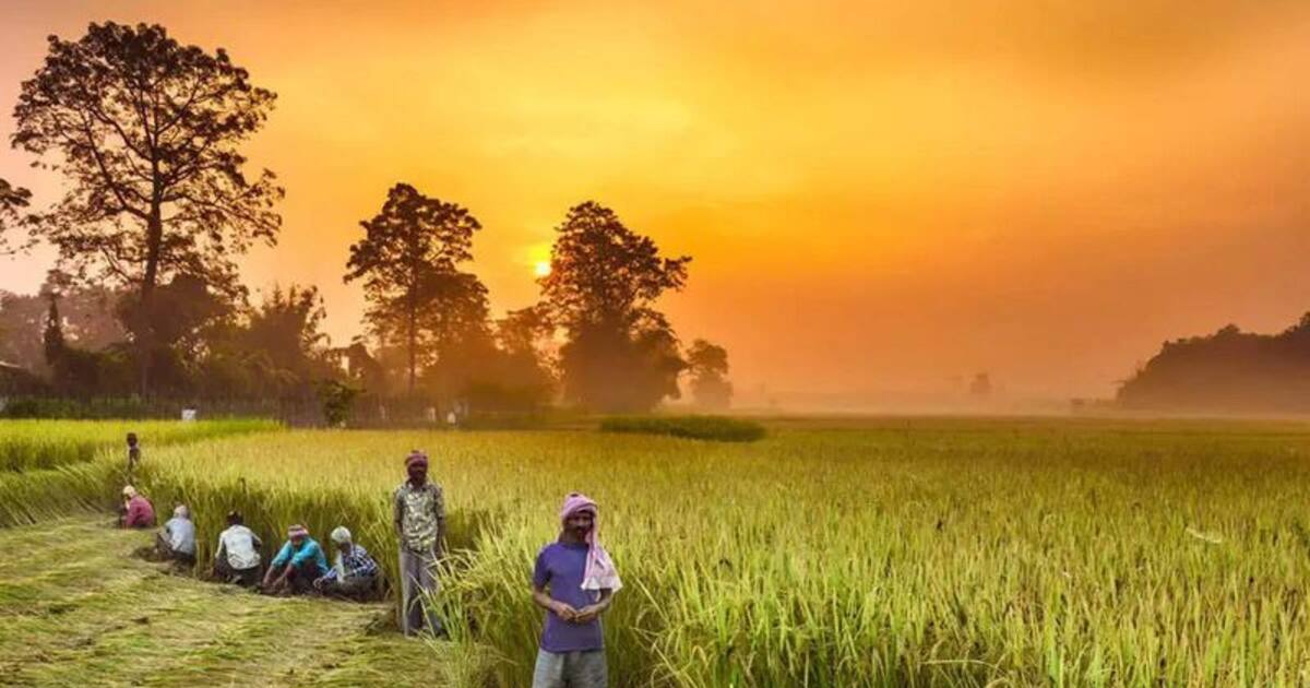 இயற்கை விவசாயத்திற்கு ரூ.400 கோடி.! சமையல் எண்ணெய் விலையை கட்டுப்படுத்த திட்டம்.! வேளாண் பட்ஜெட் சிறப்பம்சம்