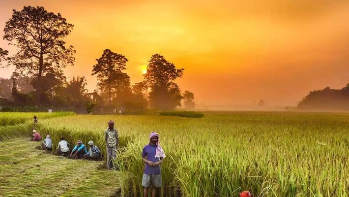 States without MGNREGA ombudsperson in 80% districts won't get funds States without MGNREGA ombudsperson in 80% districts won't get funds