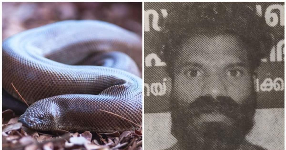 eating-red-sand-boa-snake-gives-supernatural-powers-to-human-know-more