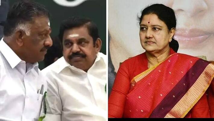 Sasikala said the AIADMK volunteers did not support the OBS and EPS Sasikala said the AIADMK volunteers did not support the OBS and EPS