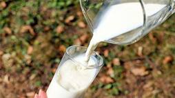 Summer effect milk production decline in chikkaballapur gvd