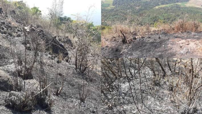 localites alleges conspiracy in forest fire in Kurumbalakotta wayanad localites alleges conspiracy in forest fire in Kurumbalakotta wayanad
