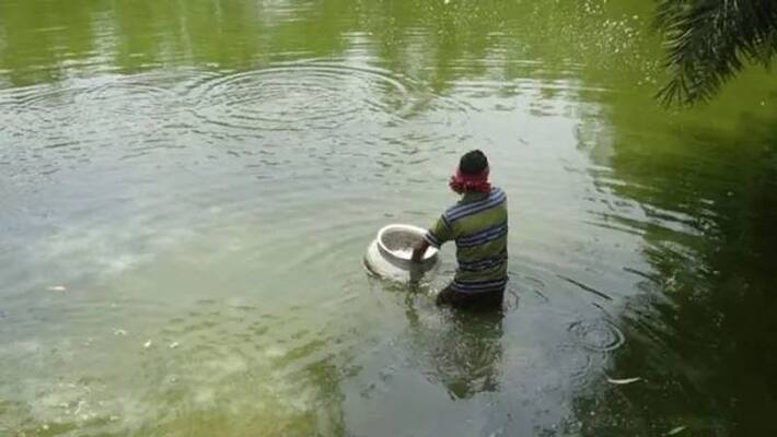 fish farming in fresh water fish farming in fresh water