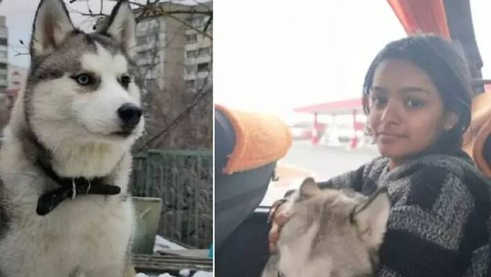 kerala student refuses to leave ukraine without her pet dog kerala student refuses to leave ukraine without her pet dog