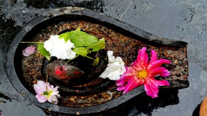Lord Shiva likes these five types of flowers, it has many miraculous benefits bpsb Lord Shiva likes these five types of flowers, it has many miraculous benefits bpsb