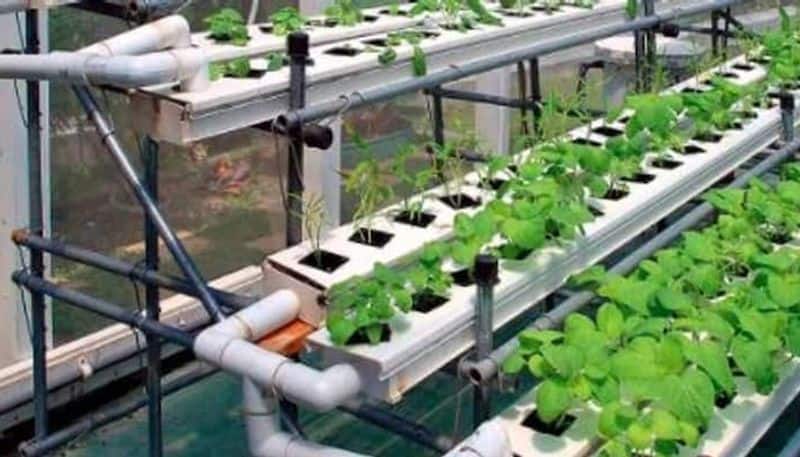 Hi tech farming: Farmers will benefit with the help of government science will help in farming techniques