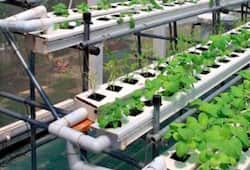 Hi tech farming: Farmers will benefit with the help of government science will help in farming techniques