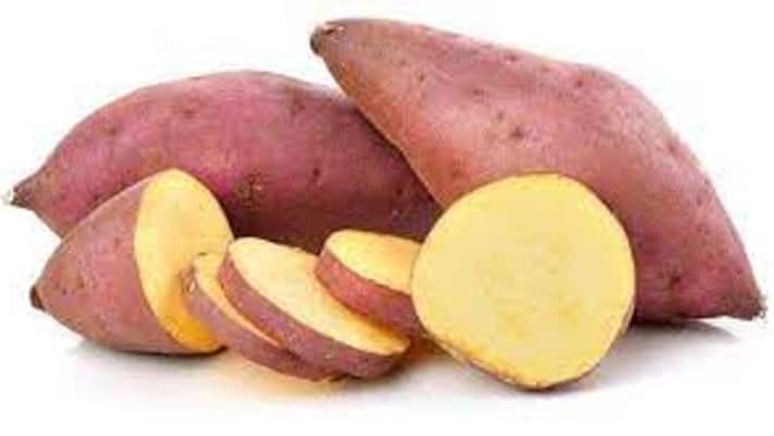 Can diabetics eat sweet potato Can diabetics eat sweet potato