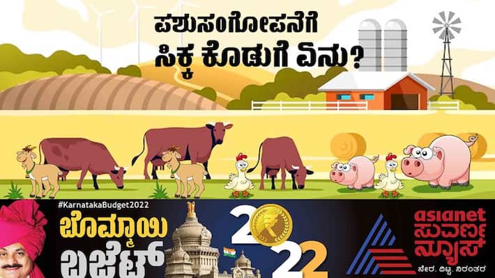 Karnataka budget 2022-23 Basavaraj bommai announced special project for animal husbandry sector gow Karnataka budget 2022-23 Basavaraj bommai announced special project for animal husbandry sector gow