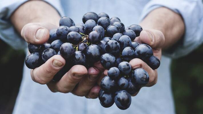 tips to keep vegetables and fruits fresh for long time tips to keep vegetables and fruits fresh for long time
