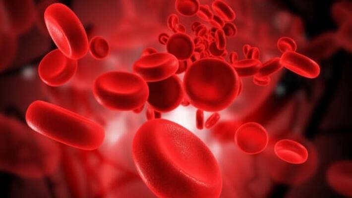 seven super foods that help increase hemoglobin levels seven super foods that help increase hemoglobin levels