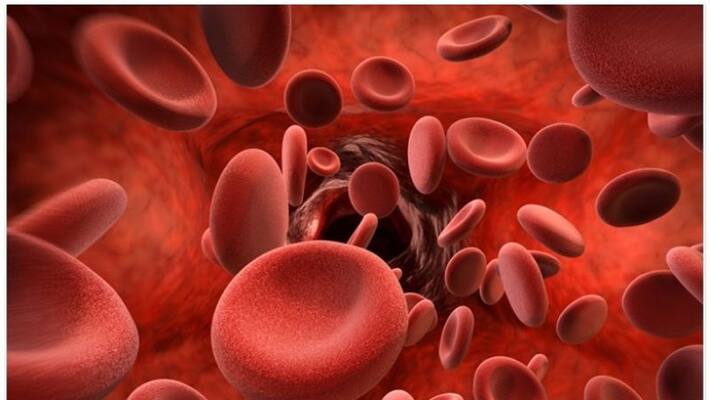 food that can help you fight anaemia food that can help you fight anaemia
