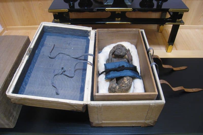 Mystery of a 300-year-old mummified mermaid  with human face