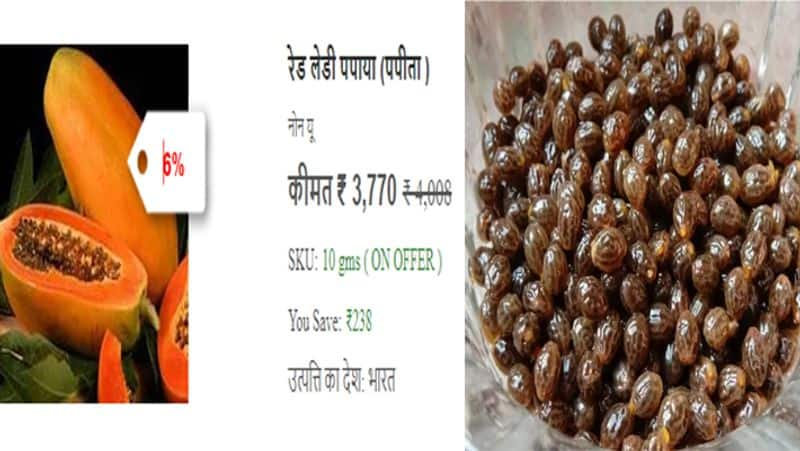 fruits seeds benefits 6 ભૂલીને પણ ન ફેંકો આ ફળોના બીજ, બજારમાં મળે છે હજારો રૂપિયા, તમે પણ કમાઈ શકો છો આનાથી