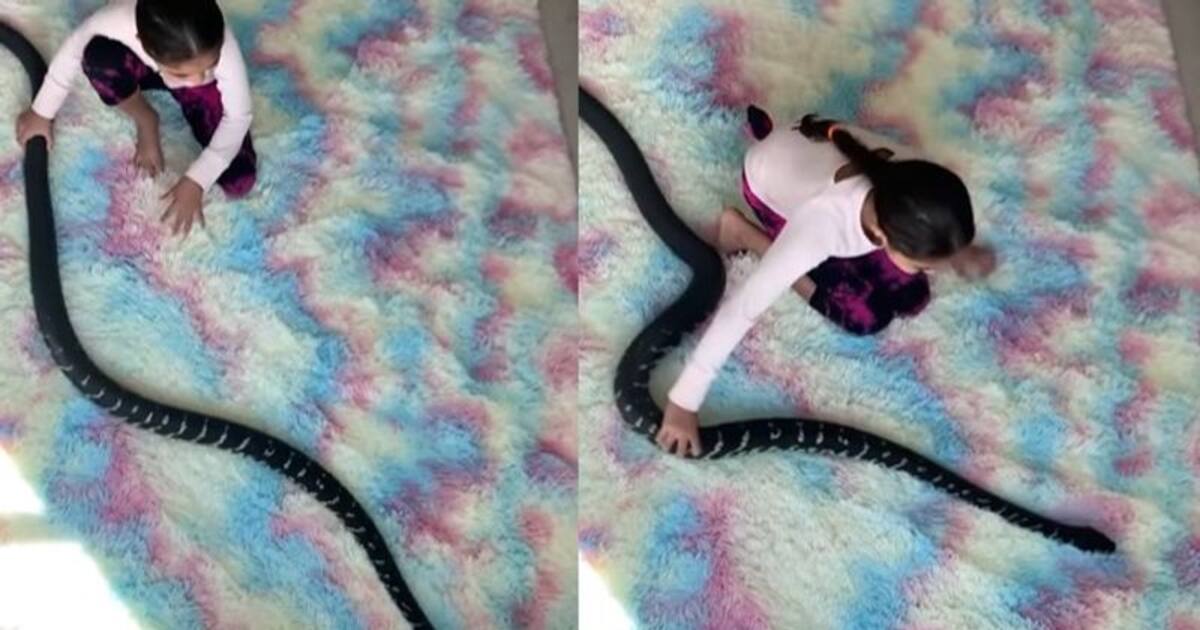 Viral Video : കൂറ്റന് പാമ്പിനൊപ്പം കളിക്കുന്ന പെണ്കുട്ടി; വൈറലായി വീഡിയോ