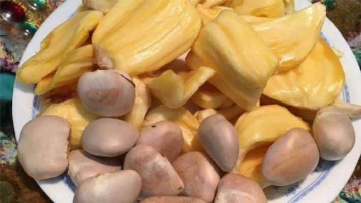 wonderful health benefits of jackfruit seeds and its uses to love life wonderful health benefits of jackfruit seeds and its uses to love life