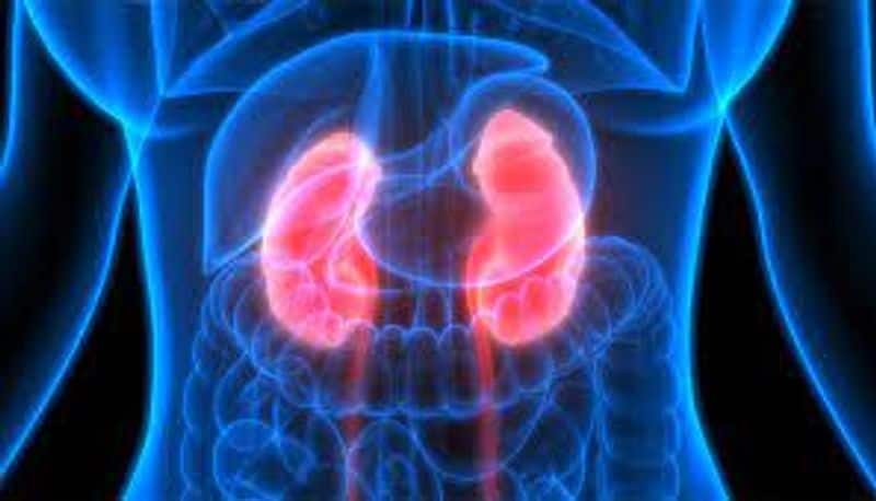 Having Kidney issues Here are some early signs and symptoms to control kidney problems RBA