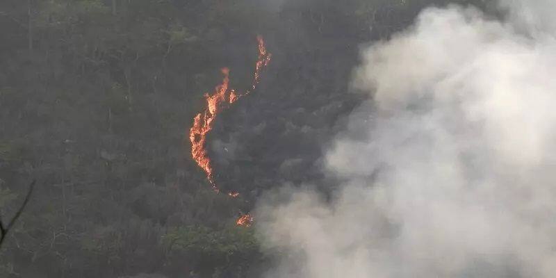 Actor Karthick Awareness Video About kodaikanal Forest Fire