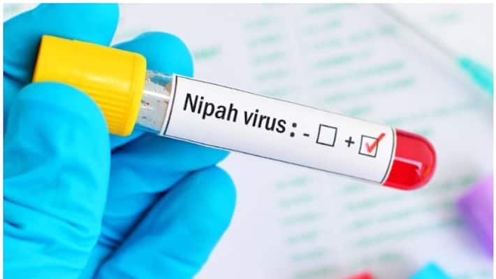 Nipah virus alert issued in Kerala Know its symptoms how to prevent and more gcw Nipah virus alert issued in Kerala Know its symptoms how to prevent and more gcw