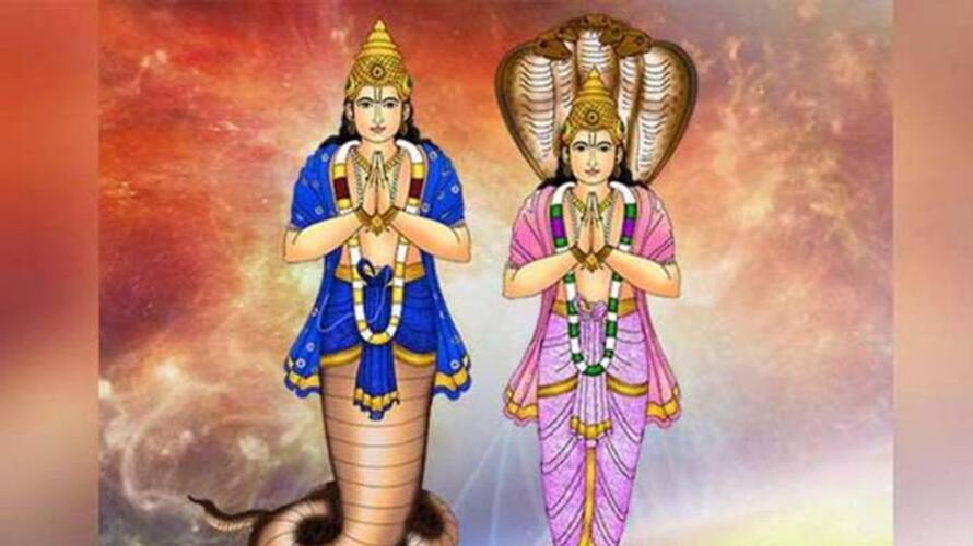 Lal Kitab remedies for Shani Rahu & Ketu dosha skr Lal Kitab remedies for Shani Rahu & Ketu dosha skr