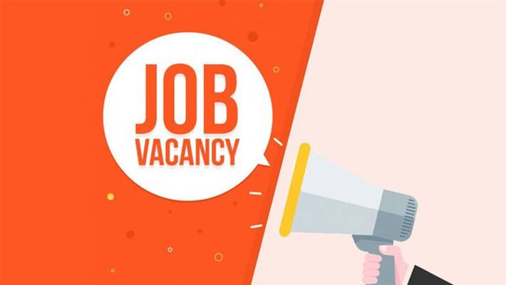 Kerala Jobs 16 July 2022 job opportunities Kerala Jobs 16 July 2022 job opportunities