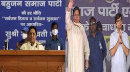 Mayawati made nephew Akash Anand national coordinator BSP supremo has made many changes in the party
