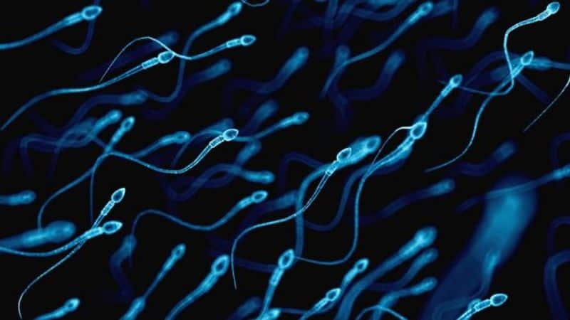 How Much Sperm is Enough for Pregnancy