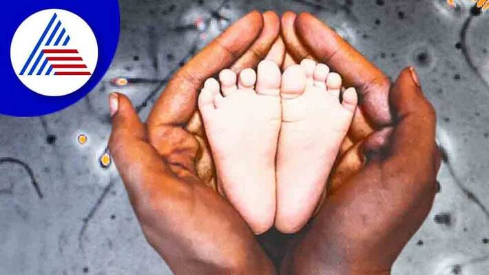 unknown man s sperm, unknown woman s egg, then whose baby is it unknown man s sperm, unknown woman s egg, then whose baby is it